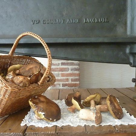 Domaine De La Tannerie Chambres D'Hotes Et Appartements Prades  Bagian luar foto