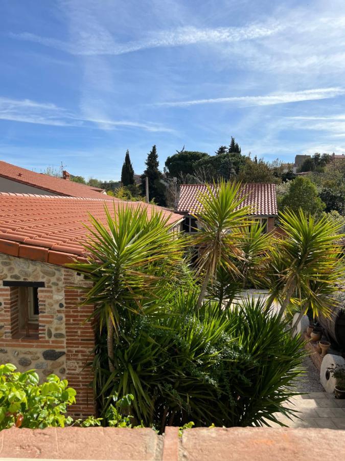 Domaine De La Tannerie Chambres D'Hotes Et Appartements Prades  Bagian luar foto
