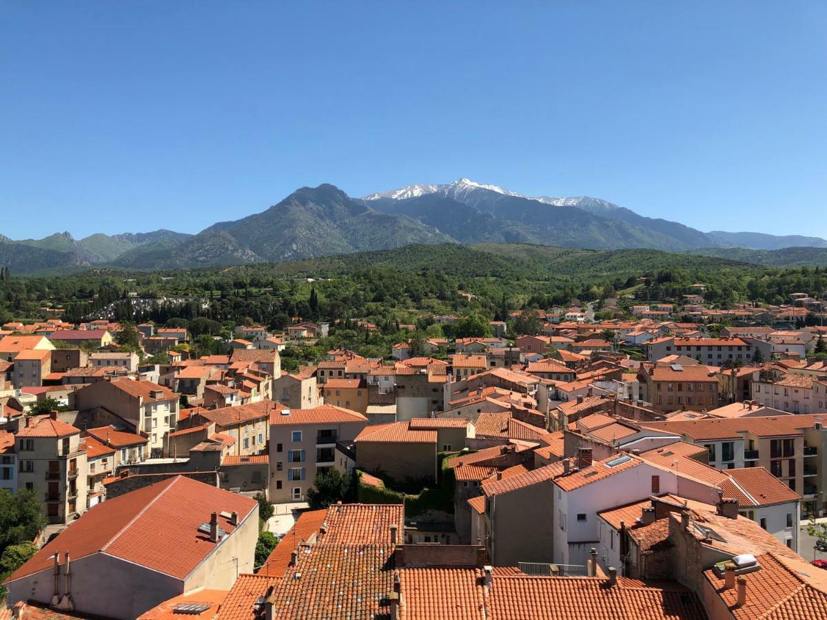 Domaine De La Tannerie Chambres D'Hotes Et Appartements Prades  Bagian luar foto